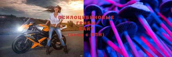 прущие крисы Армянск
