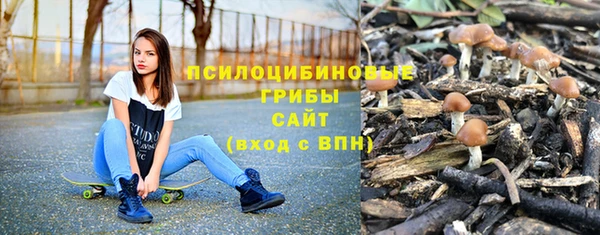 соль ск Аркадак