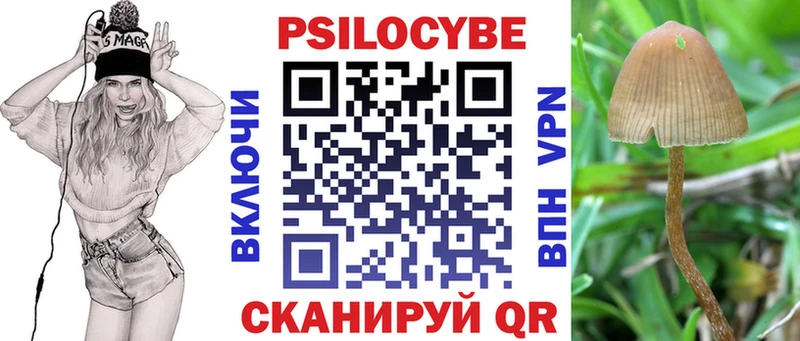 купить закладку  Саки  Псилоцибиновые грибы MAGIC MUSHROOMS 